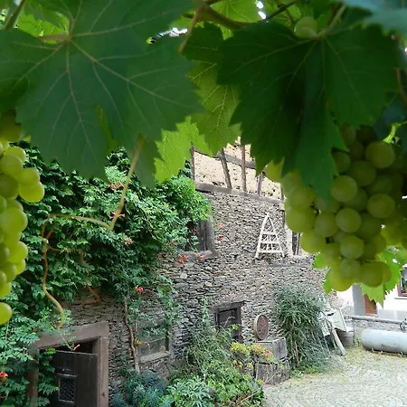 Haus-Am-Puetz-Ferienhaus * Wintrich